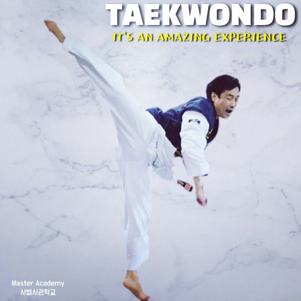 Inspiration Poster Power Kick American Martial Arts Association