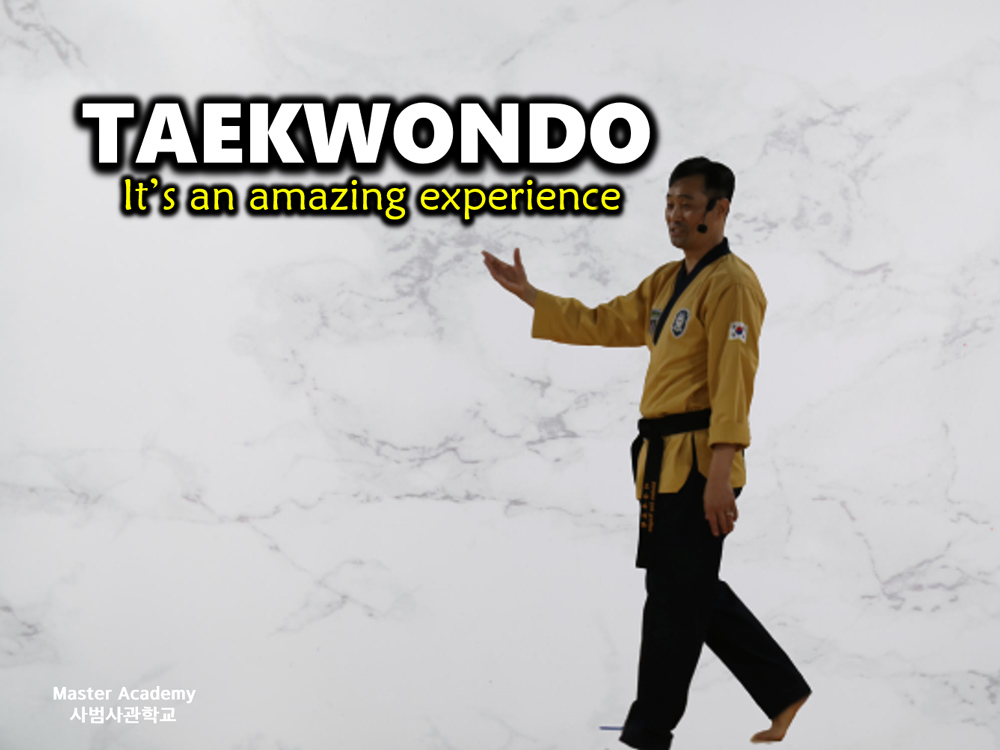 Taekwondo, an amazing experience American Martial Arts Association